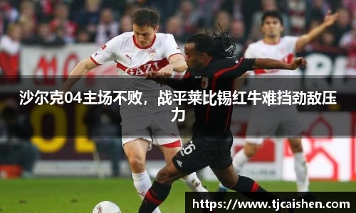 db视讯官网