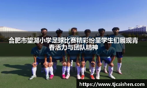 db视讯官网