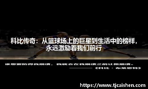 db视讯平台