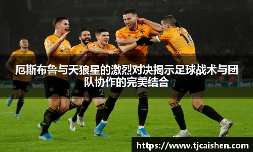 db视讯官网