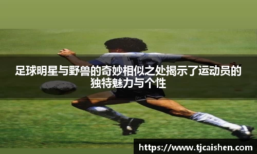 db视讯官网