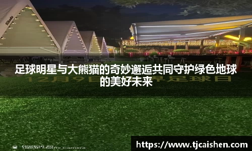 db视讯平台