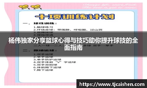 杨伟独家分享篮球心得与技巧助你提升球技的全面指南